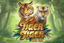 Tiger Tiger Wild Life